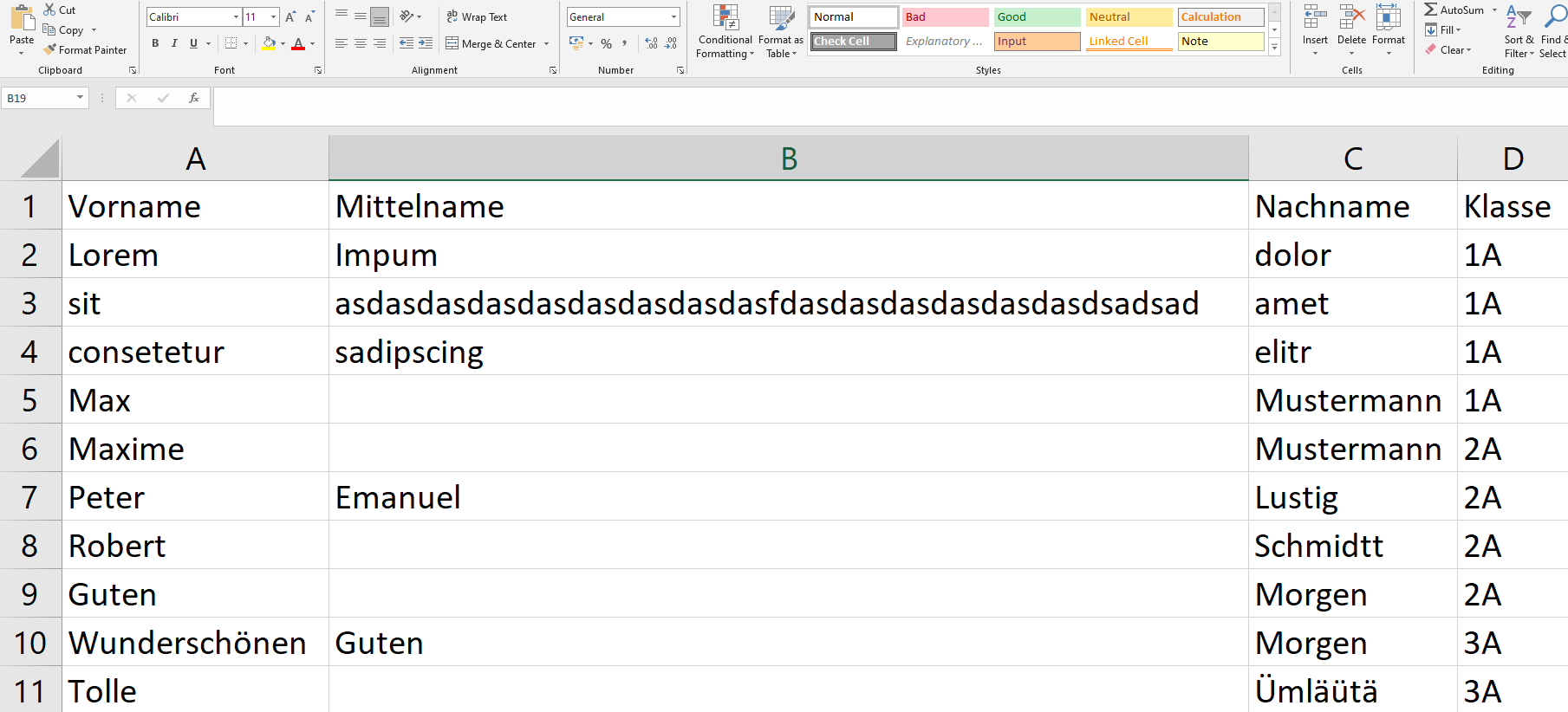 Excel Screenshot with Middlename